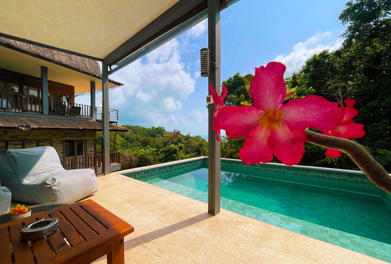 Swimming pool at Canopy Village